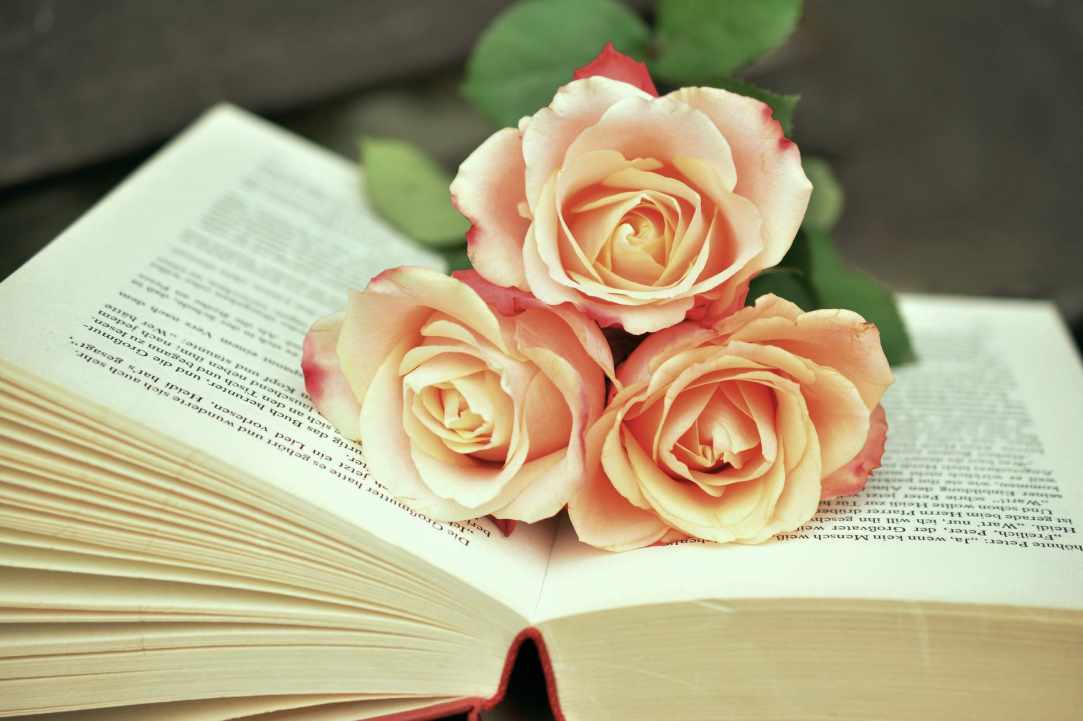 bookroses